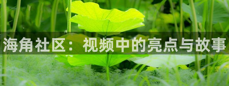 海角社区类型：海角社区：视频中的亮点与故事