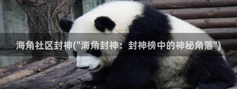 海角社区陪读：海角社区封神(\