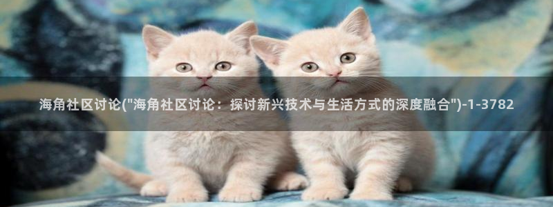 海角社区z：海角社区讨论(\