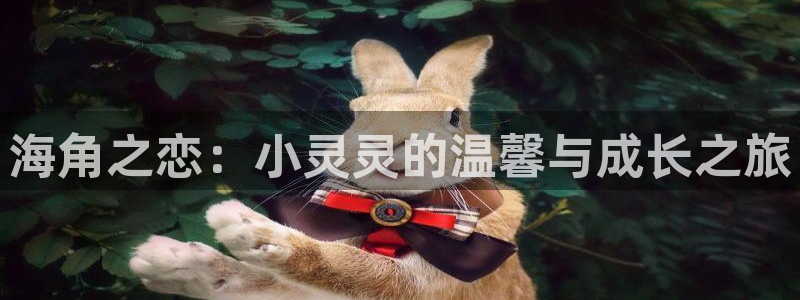 苹果手机登录海角社区：海角之恋：小灵灵的温馨与成长之旅